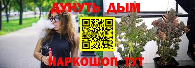 мяу мяу мука Владимир