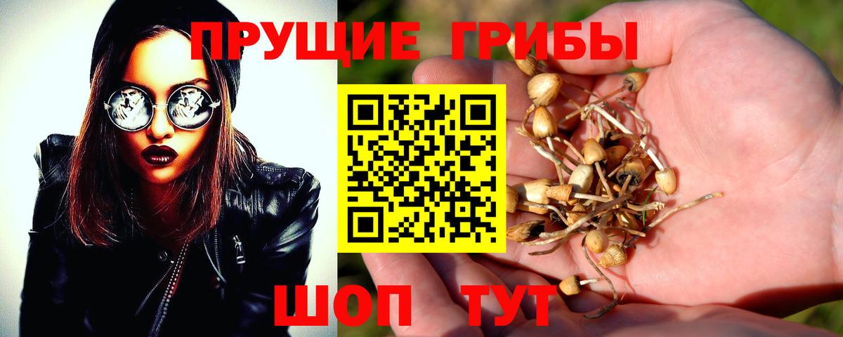 Галлюциногенные грибы GOLDEN TEACHER  Вход с VPN  Белая Калитва 